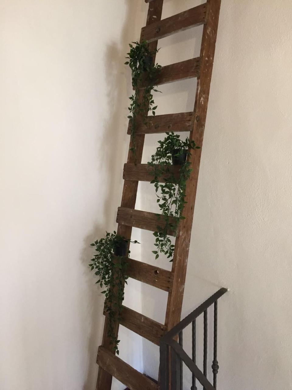 B&B La Corte San Francesco Барі Екстер'єр фото